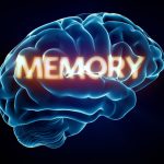 11 Tips untuk Mempertajam Memori dan Kekuatan Otak