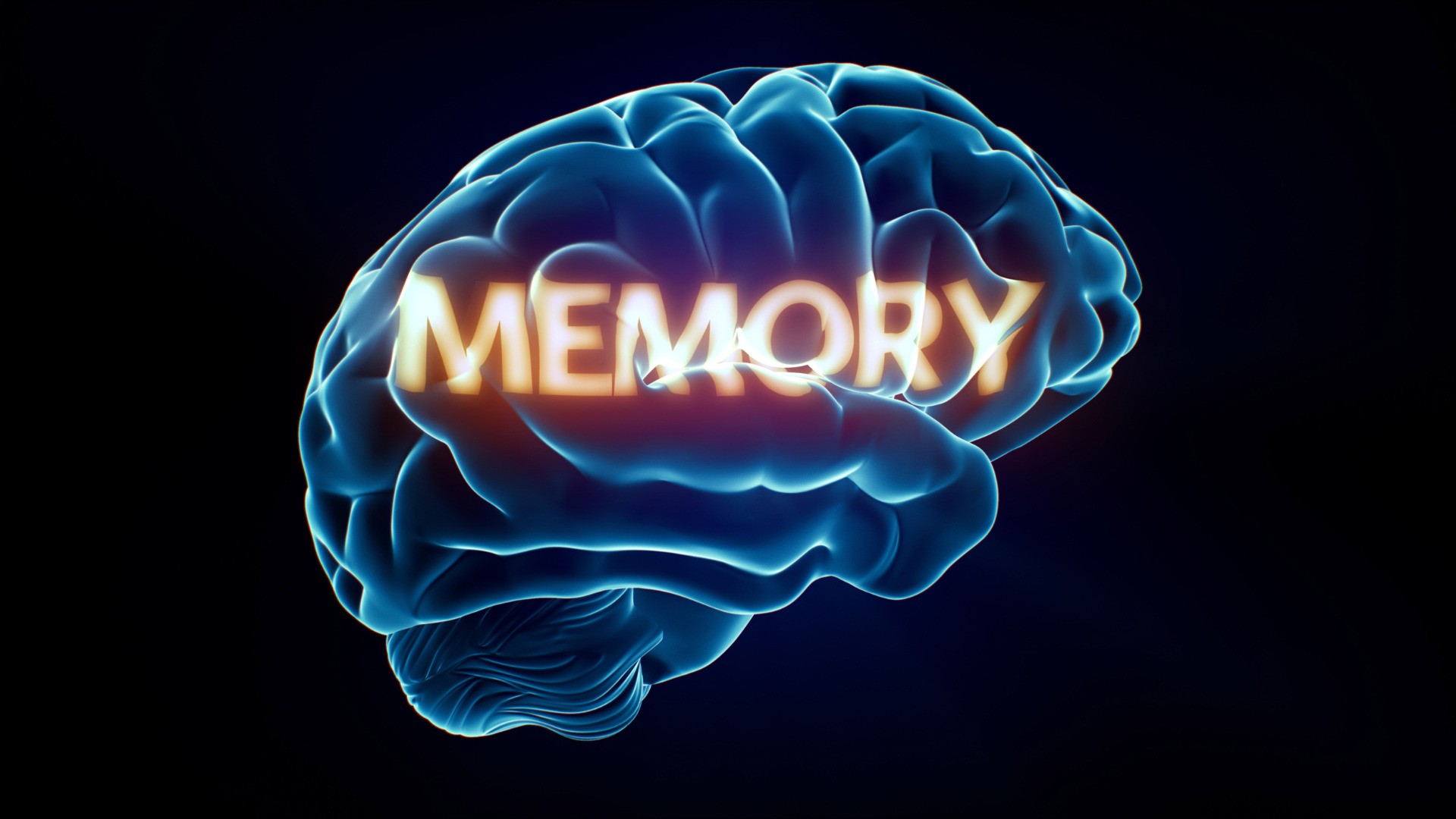 11 Tips untuk Mempertajam Memori dan Kekuatan Otak