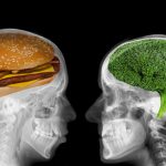 10 Makanan Penting untuk Kesehatan Tulang Tengkorak