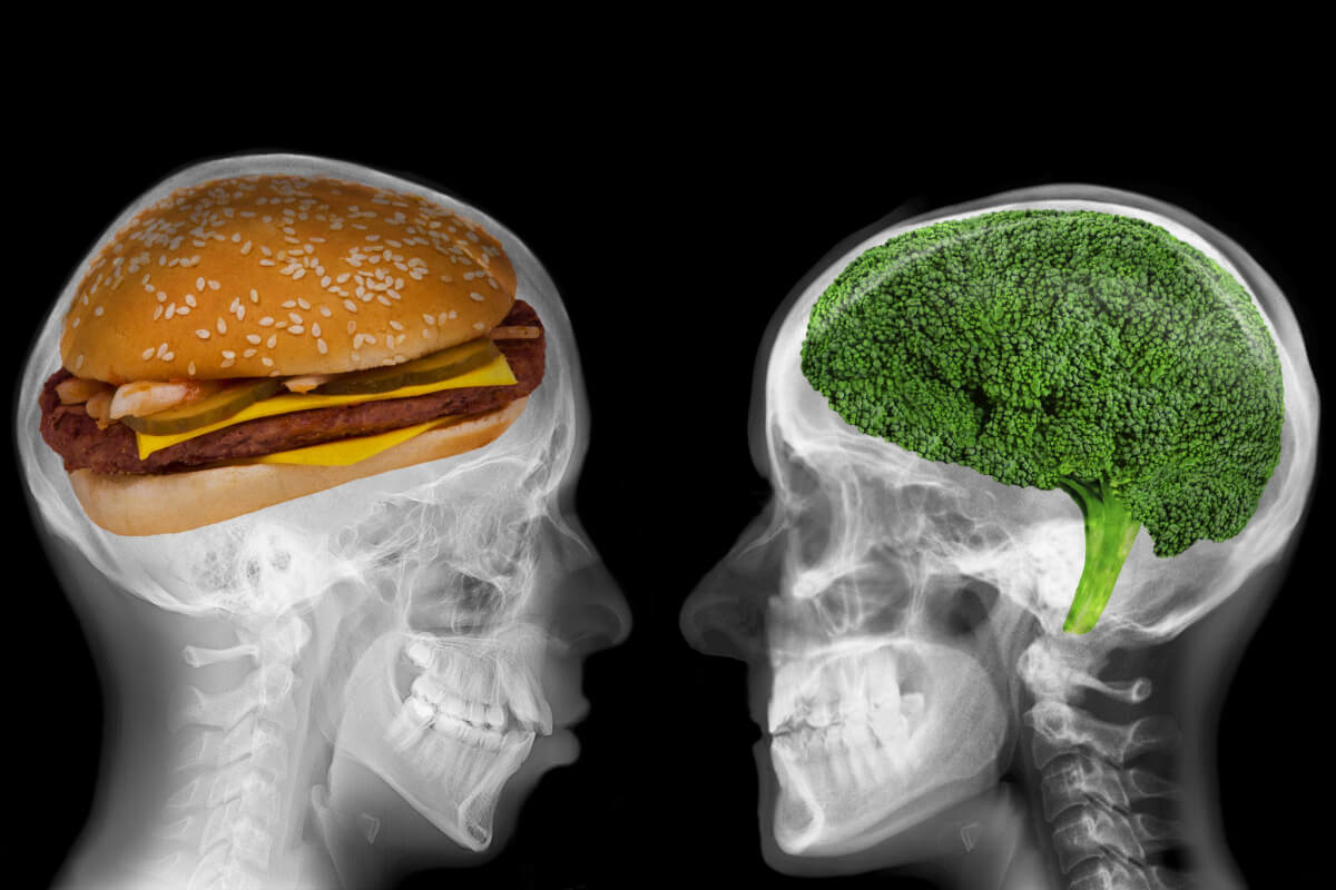10 Makanan Penting untuk Kesehatan Tulang Tengkorak