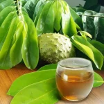 5 Minuman Tradisional yang Baik untuk Kantong Empedu