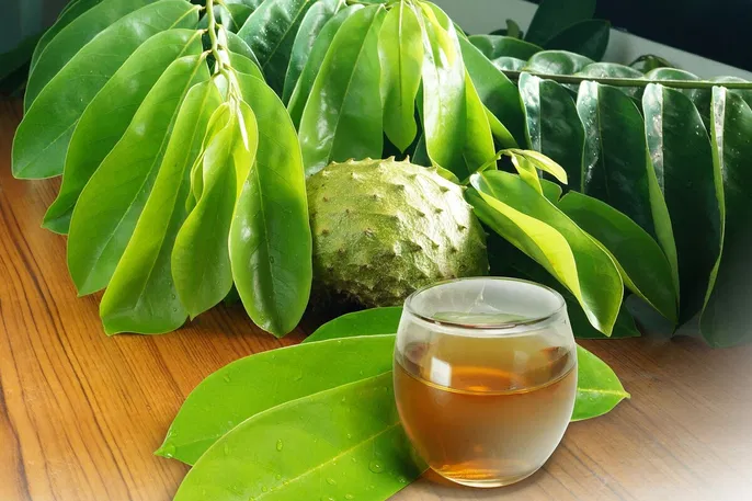 5 Minuman Tradisional yang Baik untuk Kantong Empedu