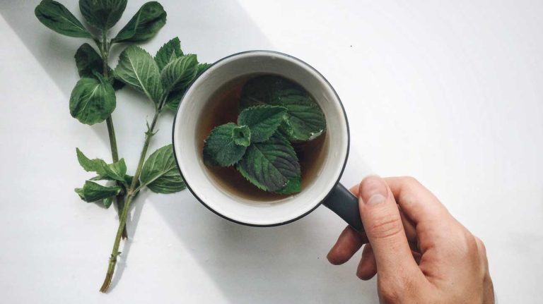 10 Jenis Herbal untuk Meredakan Batuk dan Nyeri Dada