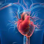 7 Cara Menurunkan Risiko Penyakit Arteri Koroner