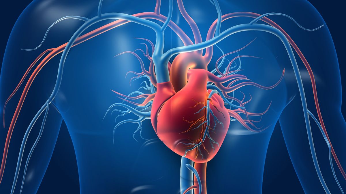 7 Cara Menurunkan Risiko Penyakit Arteri Koroner